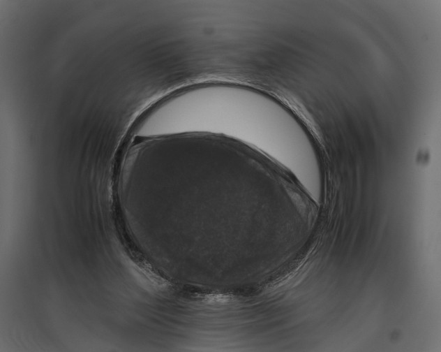 X0000096980204200803071037