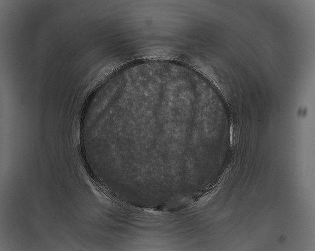 X0000096980205200803071037