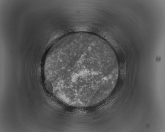 X0000096980207200803071037