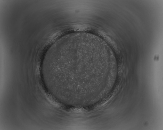 X0000096980209200803071037