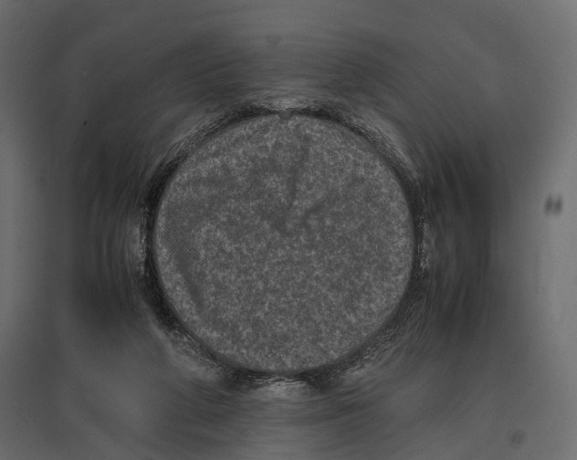 X0000096980210200803071037