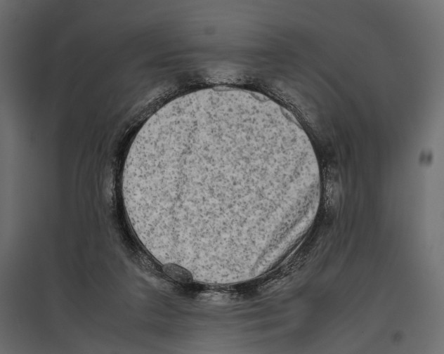 X0000096980211200803071037