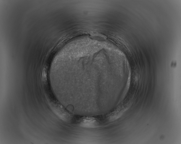 X0000096980214200803071037