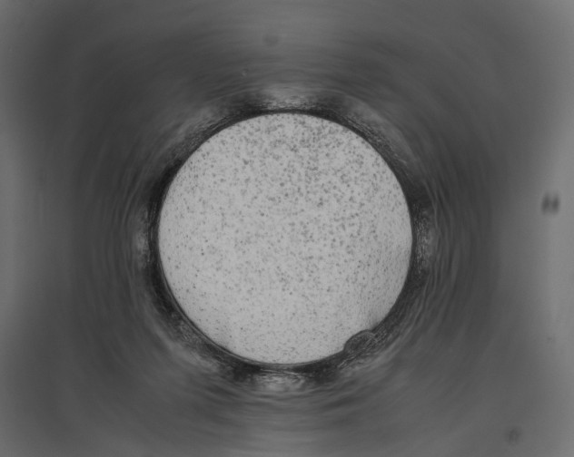 X0000096980215200803071037