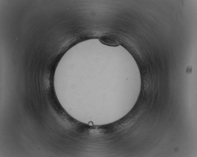 X0000096980216200803071037