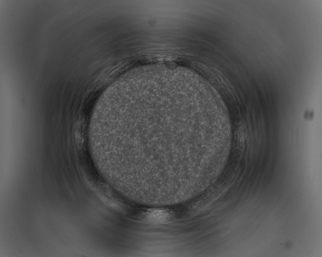 X0000096980218200803071037