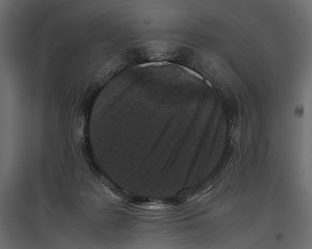 X0000096980219200803071037