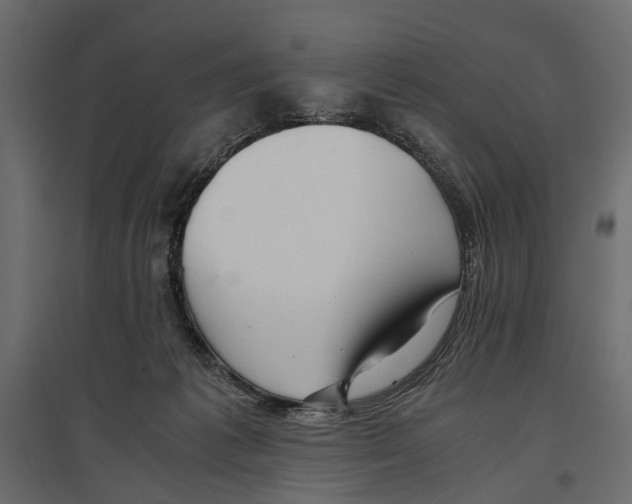 X0000096980221200803071037