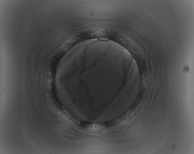 X0000096980223200803071037