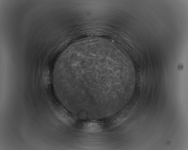 X0000096980224200803071037