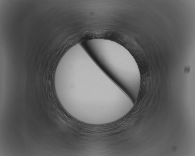 X0000096980225200803071037