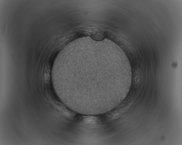 X0000096980226200803071037