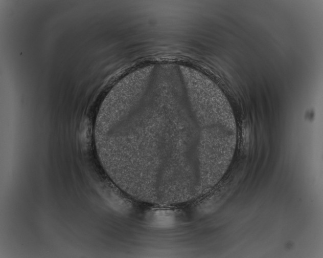 X0000096980228200803071037