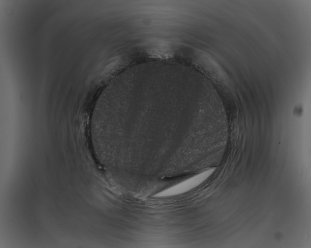 X0000096980229200803071037