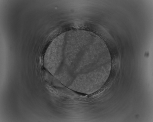 X0000096980233200803071037