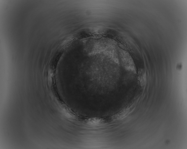 X0000096980235200803071037