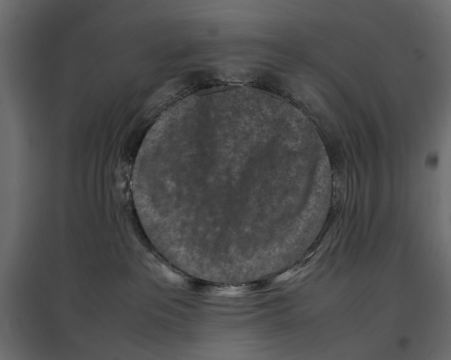 X0000096980237200803071037