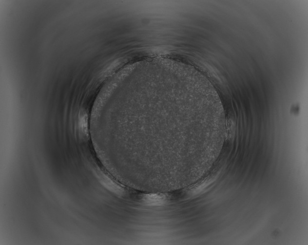 X0000096980238200803071037