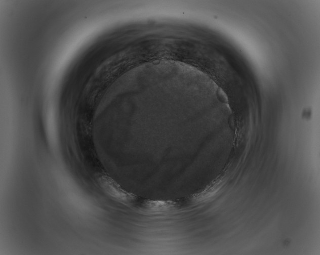 X0000096980239200803071037