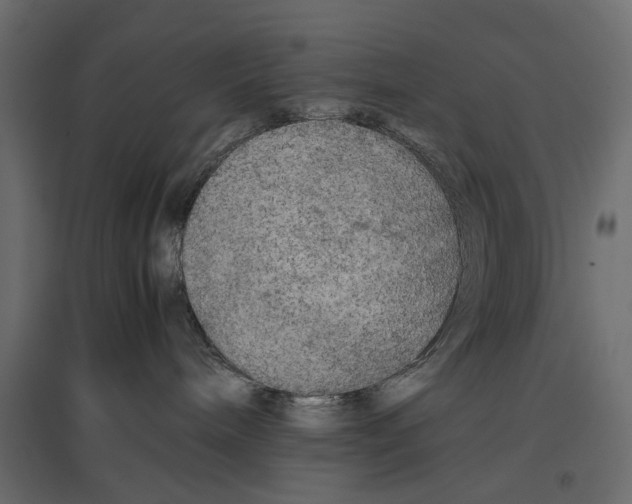 X0000096980240200803071037