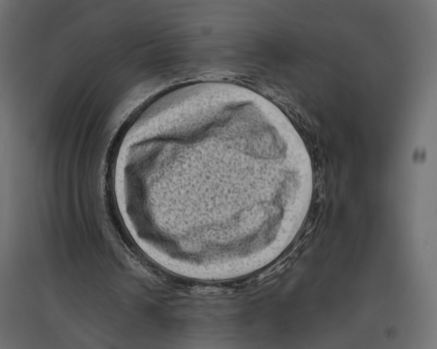 X0000096980242200803071036