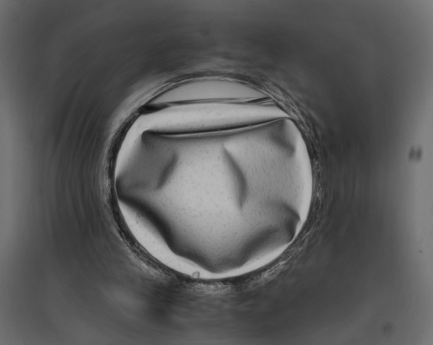 X0000096980245200803071036