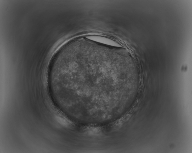 X0000096980247200803071036