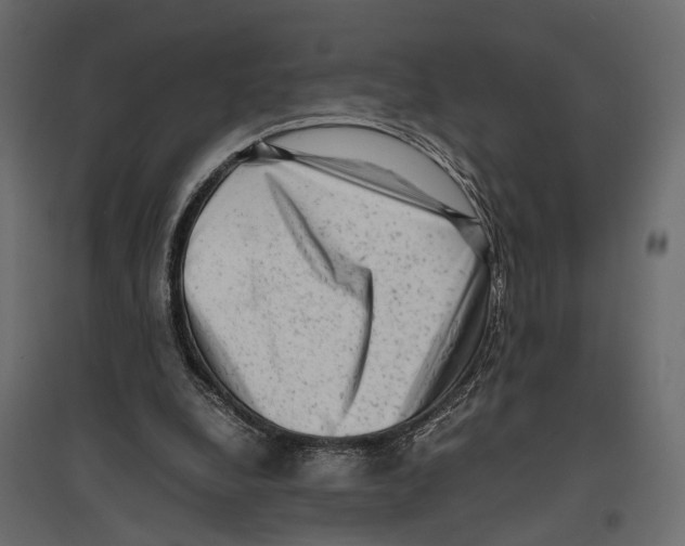 X0000096980248200803071036