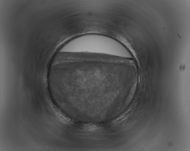 X0000096980249200803071036