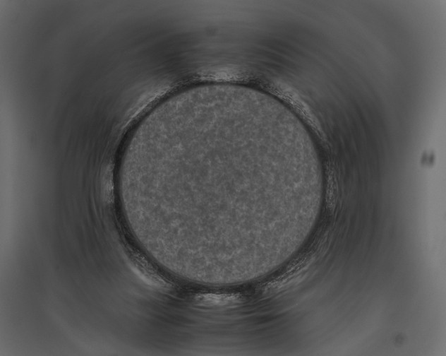 X0000096980251200803071036