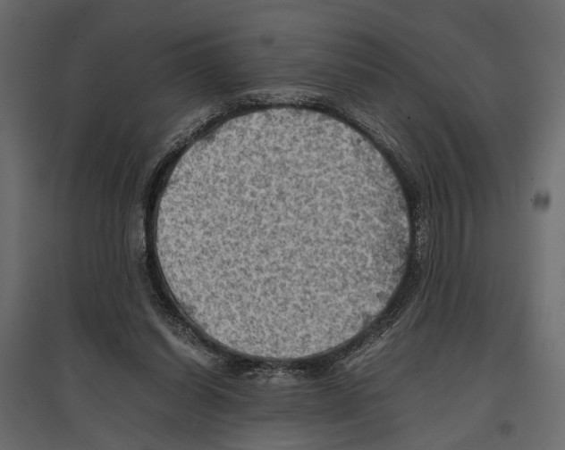 X0000096980254200803071036