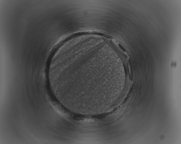 X0000096980256200803071036