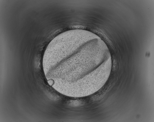 X0000096980259200803071036