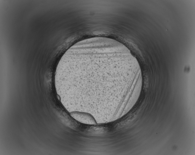 X0000096980260200803071036