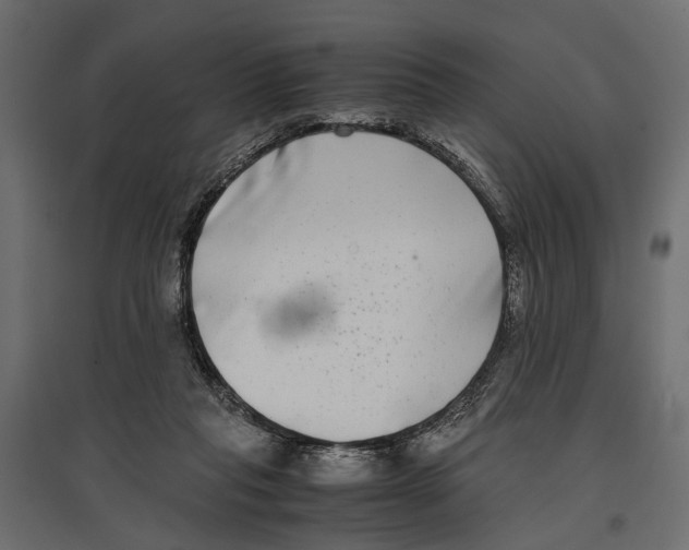 X0000096980261200803071037