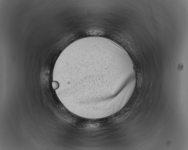 X0000096980263200803071037