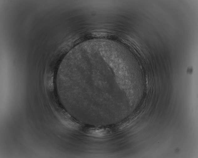 X0000096980267200803071037