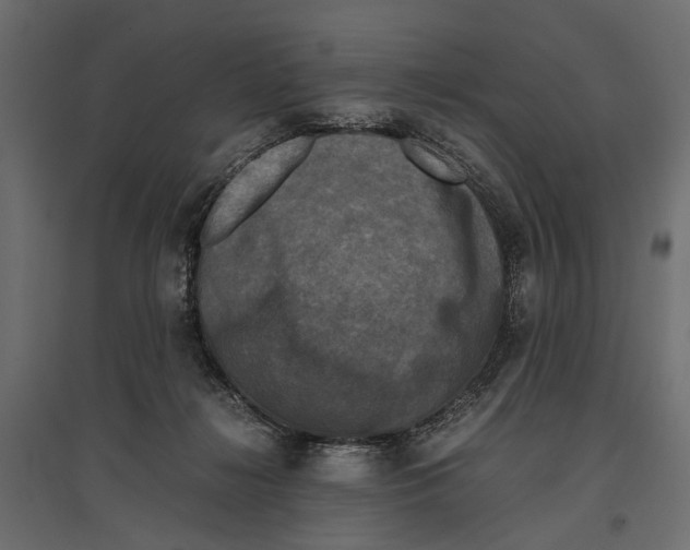 X0000096980268200803071037