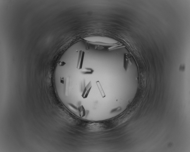 X0000096980269200803071037