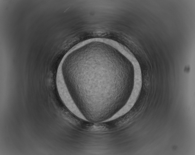 X0000096980270200803071037