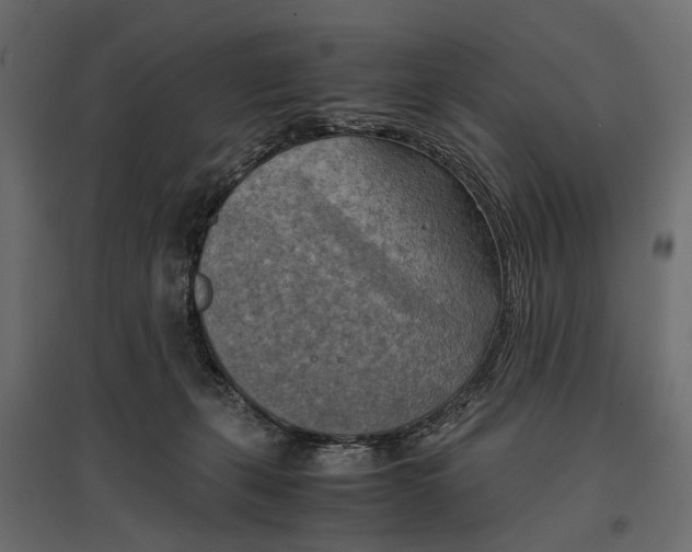 X0000096980271200803071037