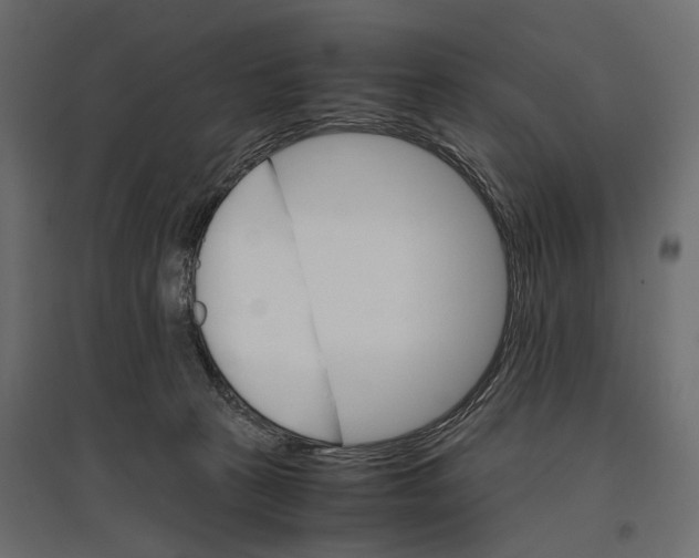 X0000096980273200803071037