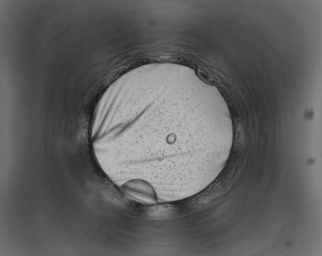 X0000096980274200803071037