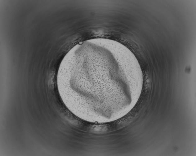 X0000096980275200803071037