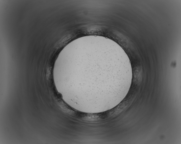 X0000096980278200803071037