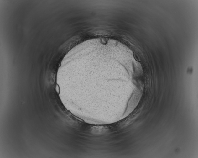 X0000096980281200803071037