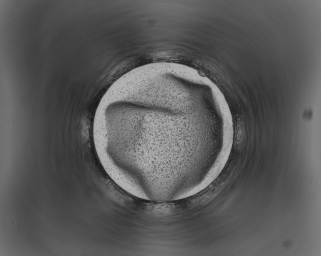 X0000096980282200803071037