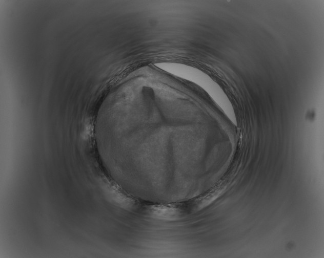 X0000096980284200803071037