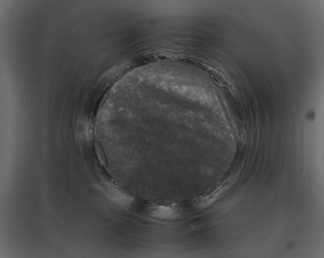 X0000096980285200803071037