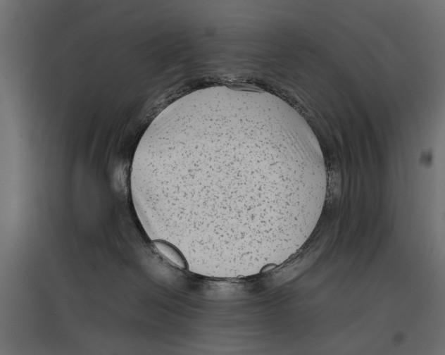 X0000096980286200803071037